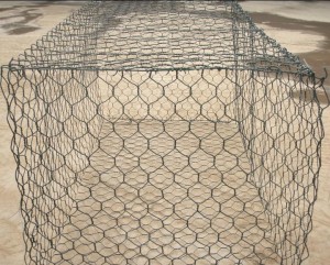 14-300x241.jpg 14-300x241.jpg