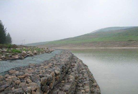 雷諾護墊.jpg 雷諾護墊.jpg