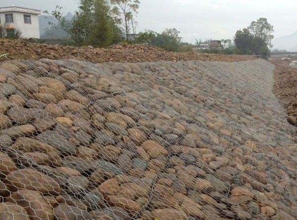 雷諾護墊2.jpg 雷諾護墊2.jpg