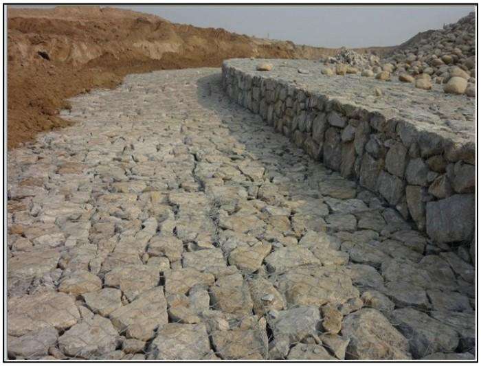 雷諾護墊2.jpg 雷諾護墊2.jpg