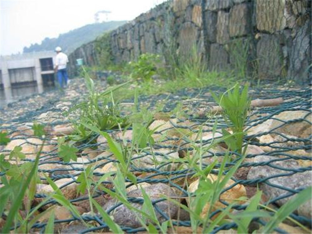 20170322111053_5828_zs_sy.jpg 20170322111053_5828_zs_sy.jpg