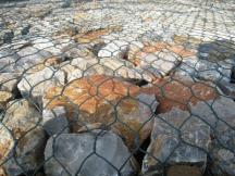 216_16253001470709203.jpg 216_16253001470709203.jpg