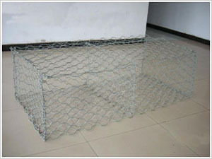 1363171531_905364966.jpg 1363171531_905364966.jpg