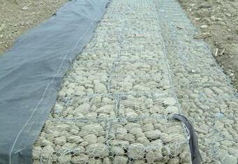 雷諾護(hù)墊.jpg 雷諾護(hù)墊.jpg