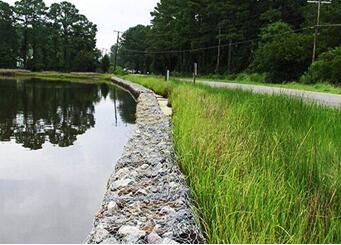 雷諾護墊.jpg 雷諾護墊.jpg