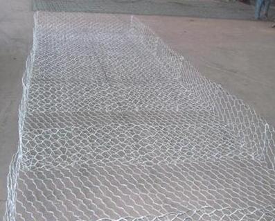 雷諾護墊.jpg 雷諾護墊.jpg