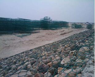 雷諾護墊.jpg 雷諾護墊.jpg