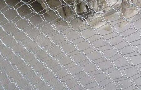 雷諾護墊.jpg 雷諾護墊.jpg