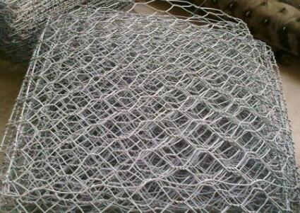 生態石籠網 生態石籠網