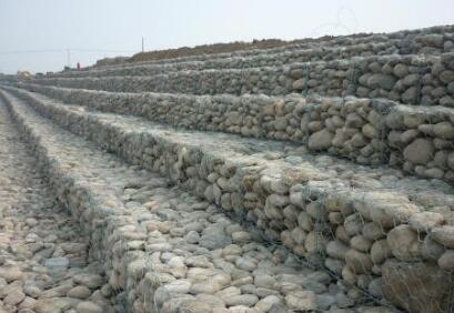 TIM截圖20190110145549.jpg TIM截圖20190110145549.jpg