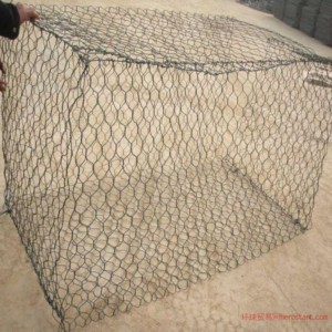 timg (12).jpg timg (12).jpg