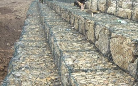 IMG130701180857906812.jpg IMG130701180857906812.jpg