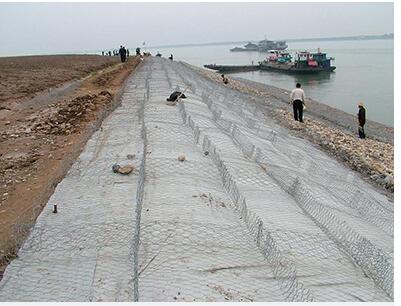 QQ截圖20190425145510.jpg QQ截圖20190425145510.jpg