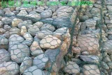 timg (36).jpg timg (36).jpg