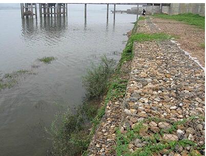 QQ截圖20190423133501.jpg QQ截圖20190423133501.jpg