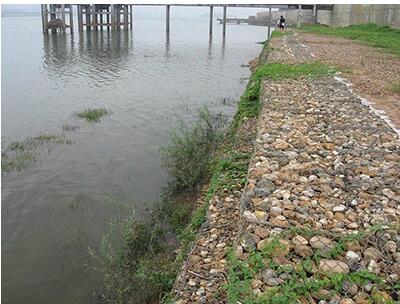 QQ截圖20190420145412.jpg QQ截圖20190420145412.jpg